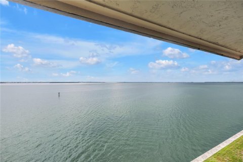 Condo in Tierra Verde, Florida, 2 bedrooms  № 2349536 - photo 5