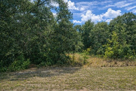 Land in Dunnellon, Florida № 2109003 - photo 4