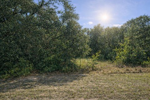 Land in Dunnellon, Florida № 2109003 - photo 2