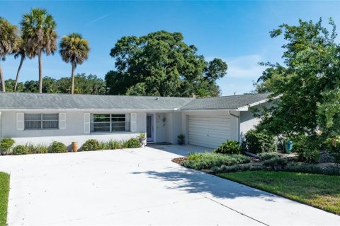 Villa ou maison à New Smyrna Beach, Floride 2 chambres, 197.14 m2 № 2344898