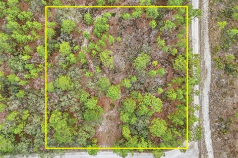 Terrain à Brooksville, Floride № 2108656