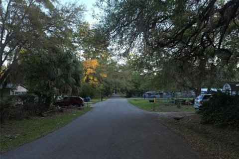 Land in Brooksville, Florida № 2158842 - photo 3