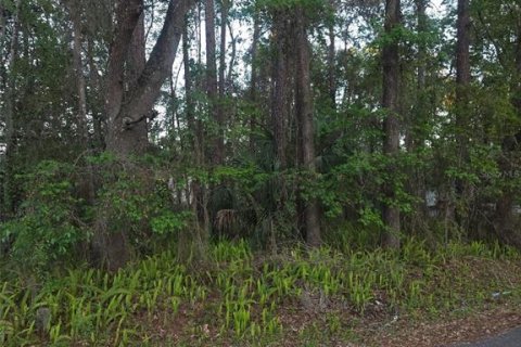Land in Brooksville, Florida № 2158842