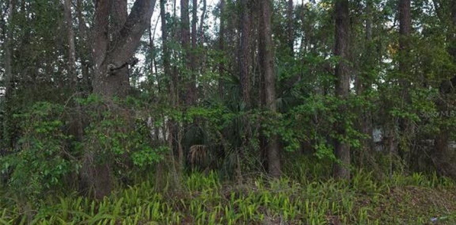 Land in Brooksville, Florida № 2158842