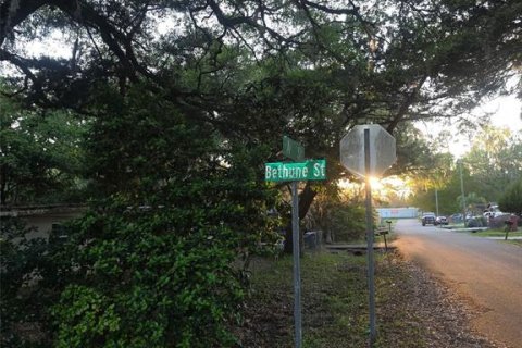 Land in Brooksville, Florida № 2158842 - photo 2