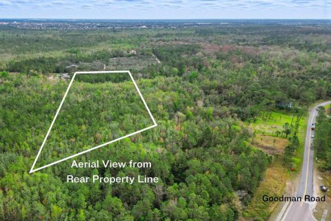 Terreno en venta en Kissimmee, Florida № 1561831 - foto 5