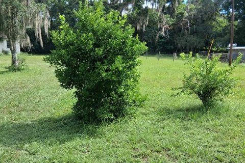 Casa en venta en Reddick, Florida, 5 dormitorios, 199.93 m2 № 2208082 - foto 22