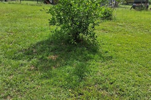 Casa en venta en Reddick, Florida, 5 dormitorios, 199.93 m2 № 2208082 - foto 23
