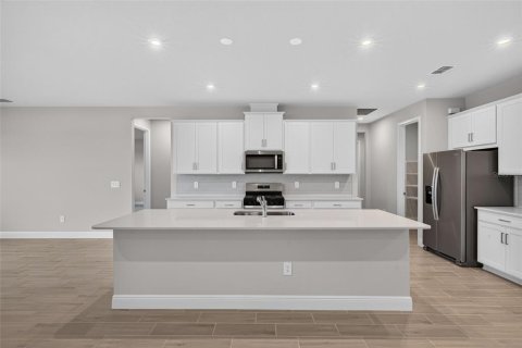 Villa ou maison à vendre à Parrish, Floride: 4 chambres, 310.85 m2 № 2209449 - photo 5