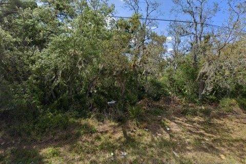 Land in Sebring, Florida № 2161292