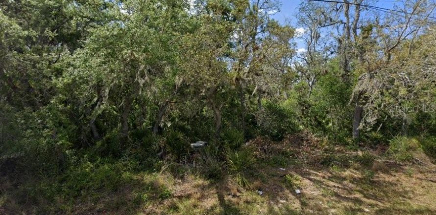 Land in Sebring, Florida № 2161292
