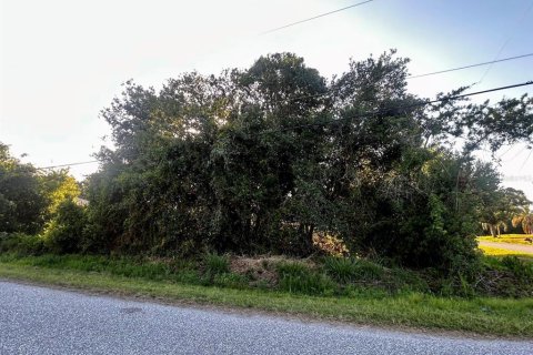 Land in North Port, Florida № 2159780 - photo 4