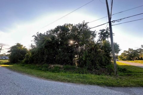Land in North Port, Florida № 2159780 - photo 6