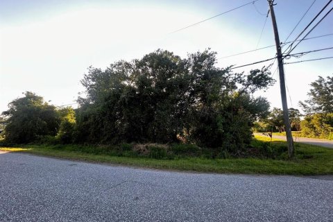 Land in North Port, Florida № 2159780 - photo 5