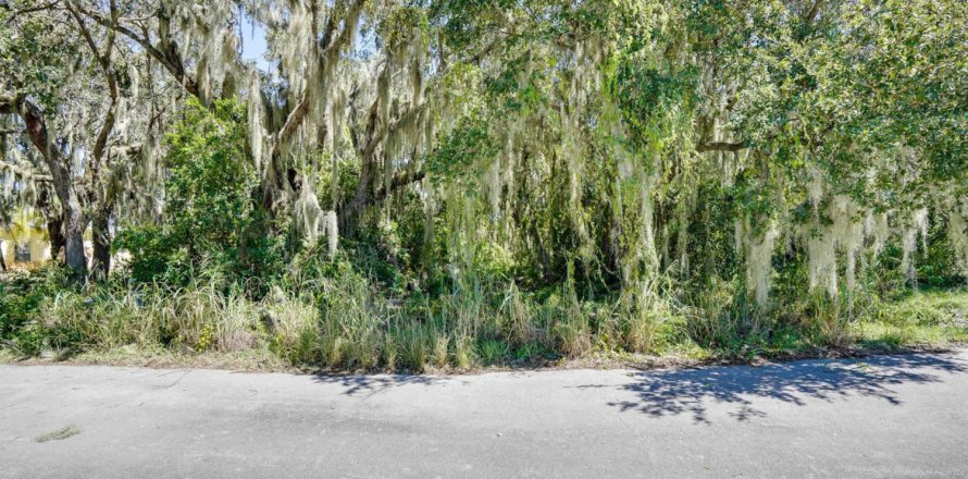 Terrain à Fort Pierce, Floride № 40474