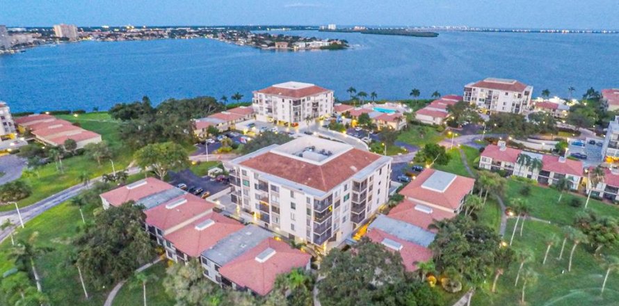 Condo à Saint Petersburg, Floride, 1 chambre № 2425312