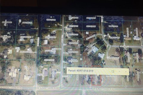 Land in Summerfield, Florida № 2166517 - photo 4