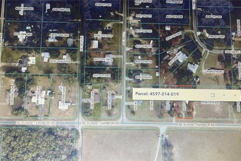 Land in Summerfield, Florida № 2166517 - photo 3