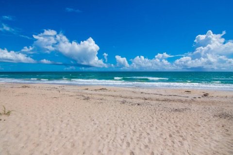 Immobilier commercial à louer à Vero Beach, Floride: 1 chambre, 37.16 m2 № 2083858 - photo 26