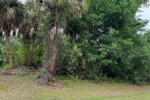 Land in Port Charlotte, Florida № 2205233
