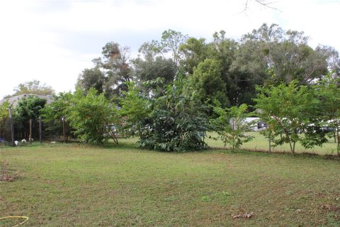 House in Land O' Lakes, Florida 3 bedrooms, 155.89 sq.m. № 1747789 - photo 20