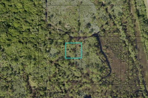 Commercial property in Grant-Valkaria, Florida № 2365228