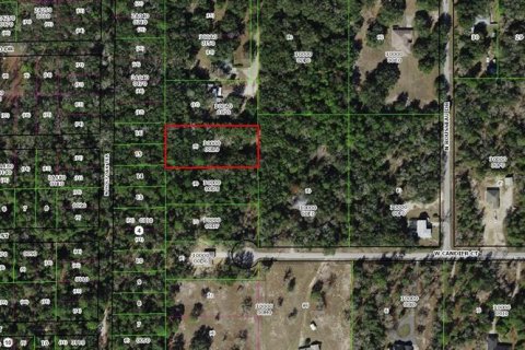 Terrain à vendre à Dunnellon, Floride № 2220628 - photo 4