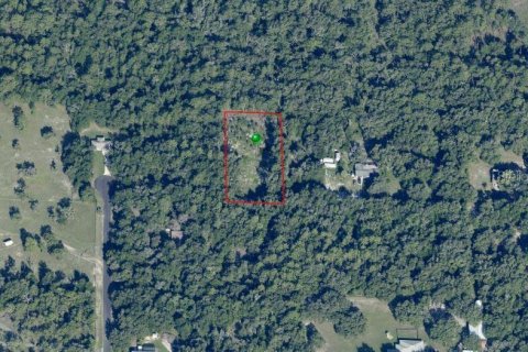 Terrain à Dunnellon, Floride № 2220628