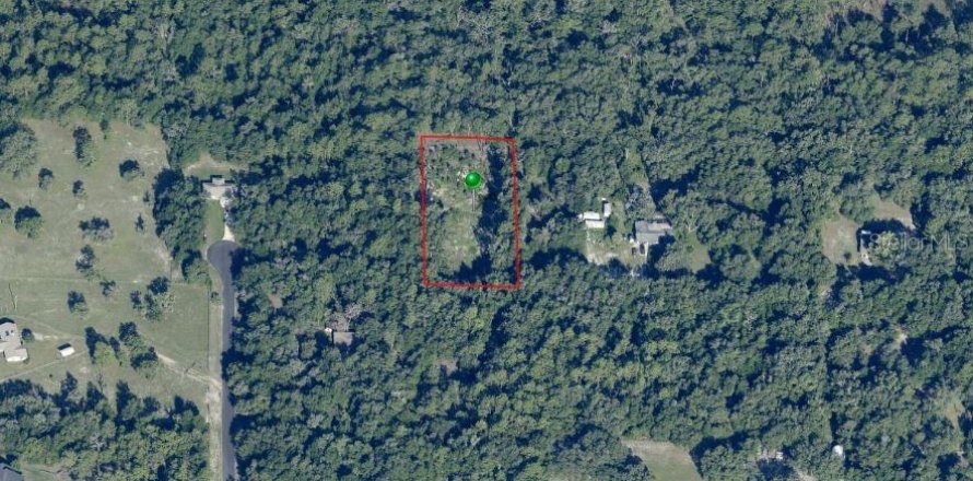 Terrain à Dunnellon, Floride № 2220628