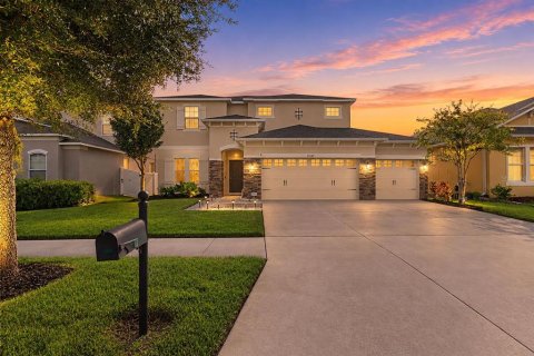 House in Tampa, Florida 4 bedrooms, 270.35 sq.m. № 2347803