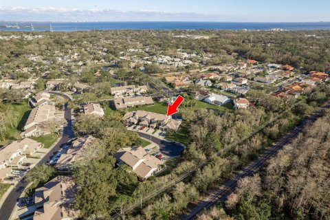 Condominio en venta en Safety Harbor, Florida, 3 dormitorios, 125.42 m2 № 1717588 - foto 23