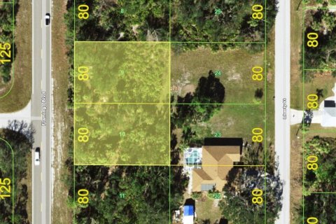 Land in Port Charlotte, Florida № 2228989