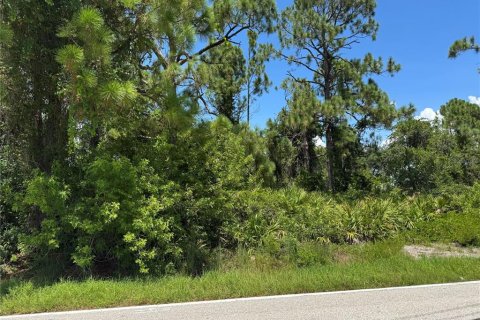Land in Port Charlotte, Florida № 2165358