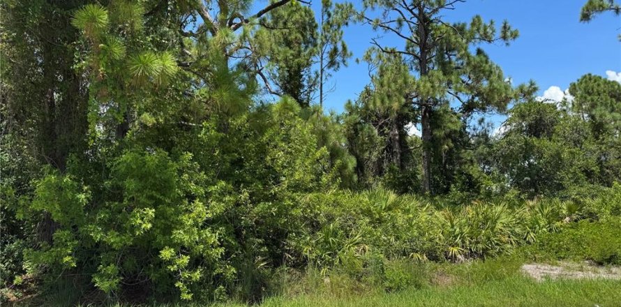 Land in Port Charlotte, Florida № 2165358