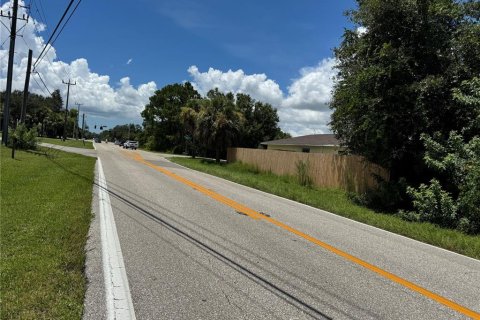 Land in Port Charlotte, Florida № 2165358 - photo 3