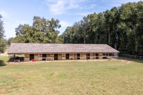 House in Ocala, Florida 3 bedrooms, 168.71 sq.m. № 1201466 - photo 6