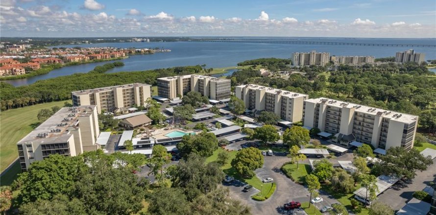 Condo à Clearwater, Floride, 2 chambres № 2403500