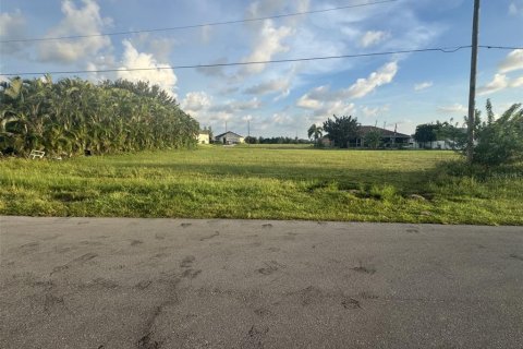 Land in Cape Coral, Florida № 2370673