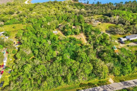 Land in Punta Gorda, Florida № 2233760 - photo 17