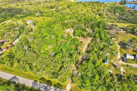 Land in Punta Gorda, Florida № 2233760 - photo 16