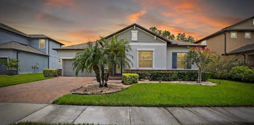 House in Wesley Chapel, Florida 4 bedrooms, 229.65 sq.m. № 1844264