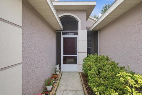 Villa ou maison à vendre à Oldsmar, Floride: 3 chambres, 153.85 m2 № 2095116 - photo 5