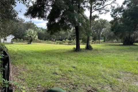 House in Reddick, Florida 4 bedrooms, 273.04 sq.m. № 2112021 - photo 19