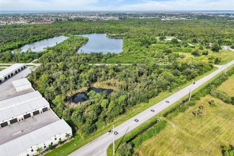 Land in Punta Gorda, Florida № 2130478 - photo 2