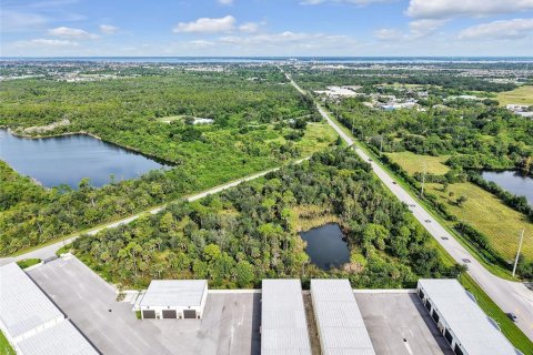 Land in Punta Gorda, Florida № 2130478 - photo 8