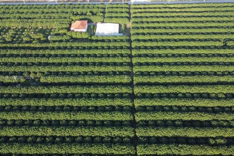 Propiedad comercial en venta en Homestead, Florida № 1877637 - foto 2