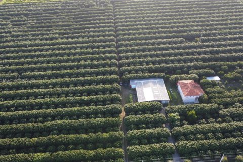 Propiedad comercial en venta en Homestead, Florida № 1877637 - foto 3