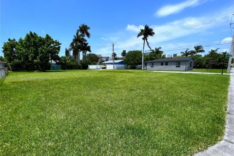 Купить земельный участок в Дания-Бич, Флорида № 1977474 - фото 4