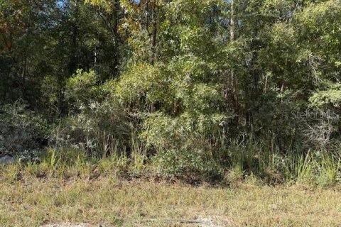 Land in Bronson, Florida № 2162686