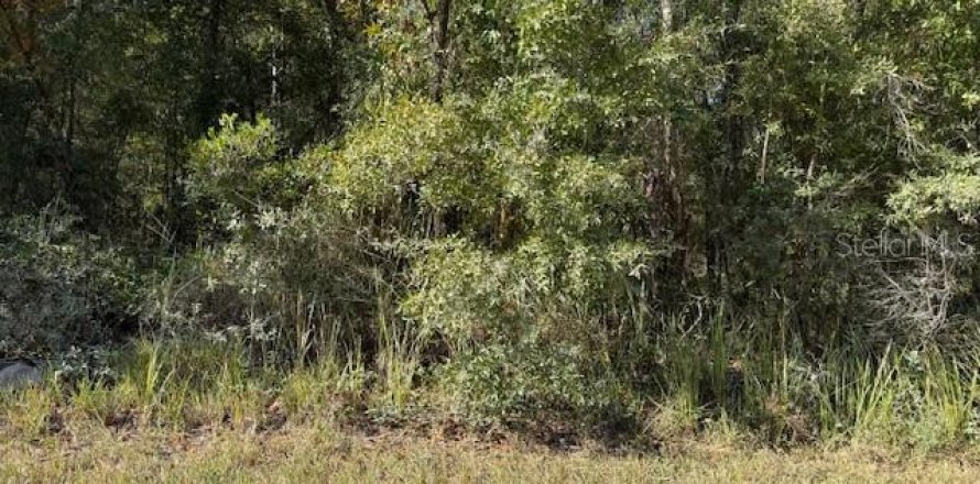 Land in Bronson, Florida № 2162686